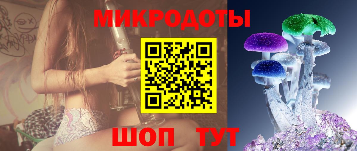 Зерноград  Псилоцибиновые грибы Psilocybe  Вход с VPN 