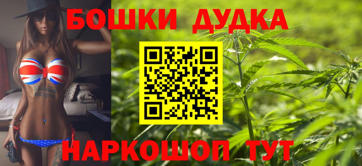 Конопля сатива Зерноград